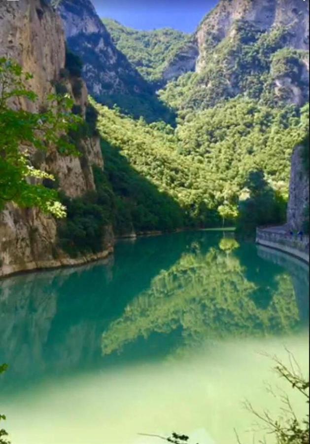 La Ginestra